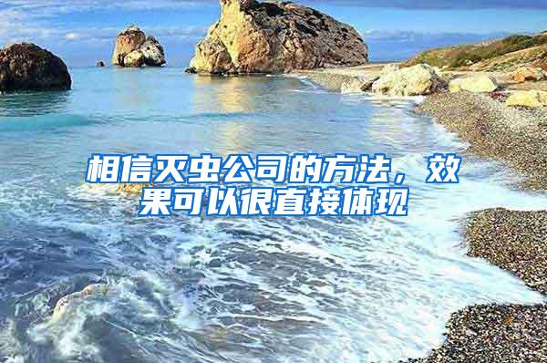 相信滅蟲公司的方法，效果可以很直接體現