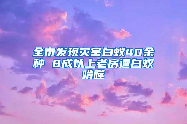 全市發(fā)現(xiàn)災(zāi)害白蟻40余種 8成以上老房遭白蟻啃噬