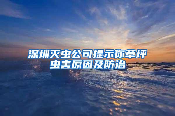 深圳滅蟲公司提示你草坪蟲害原因及防治