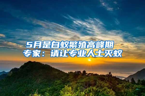 5月是白蟻繁殖高峰期 專家：請讓專業人士滅蟻