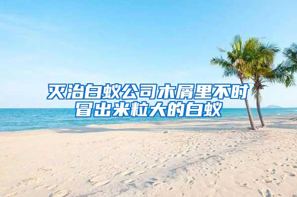 滅治白蟻公司木屑里不時冒出米粒大的白蟻