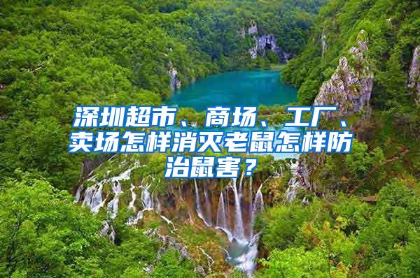 深圳超市、商場、工廠、賣場怎樣消滅老鼠怎樣防治鼠害？