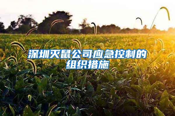 深圳滅鼠公司應急控制的組織措施