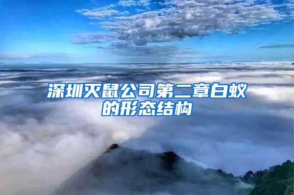 深圳滅鼠公司第二章白蟻的形態(tài)結構