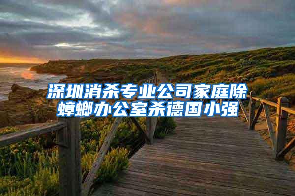 深圳消殺專業公司家庭除蟑螂辦公室殺德國小強