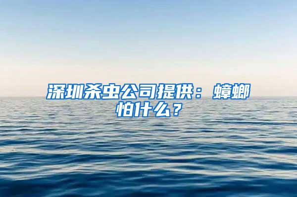 深圳殺蟲公司提供：蟑螂怕什么？