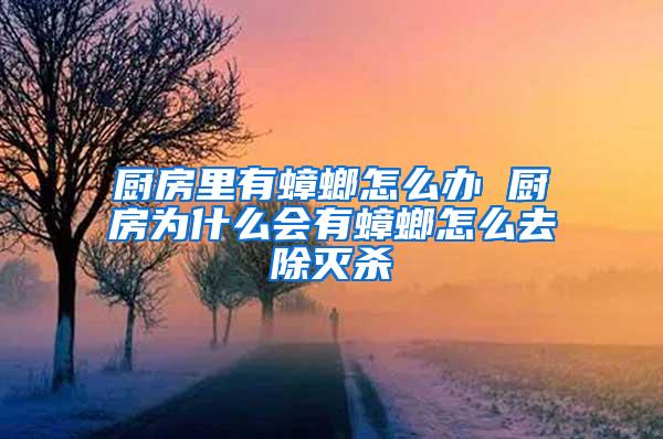 廚房里有蟑螂怎么辦 廚房為什么會(huì)有蟑螂怎么去除滅殺