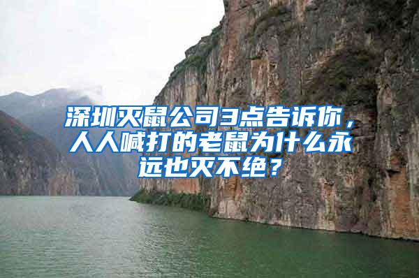 深圳滅鼠公司3點告訴你，人人喊打的老鼠為什么永遠也滅不絕？