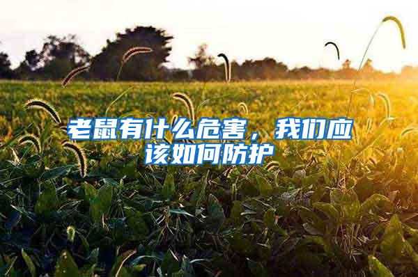 老鼠有什么危害，我們應(yīng)該如何防護(hù)