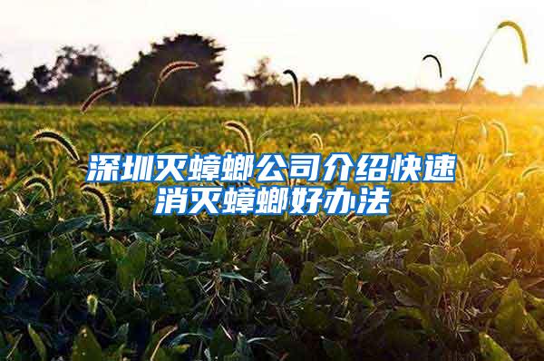 深圳滅蟑螂公司介紹快速消滅蟑螂好辦法