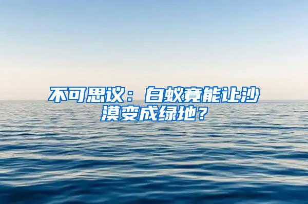 不可思議：白蟻竟能讓沙漠變成綠地？