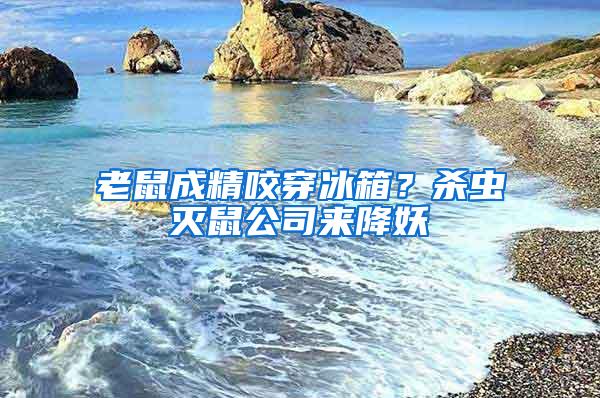 老鼠成精咬穿冰箱？殺蟲滅鼠公司來降妖