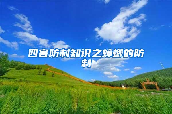 四害防制知識之蟑螂的防制