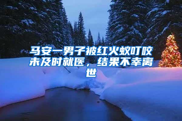 馬安一男子被紅火蟻叮咬未及時就醫，結果不幸離世