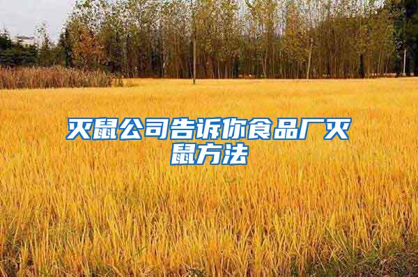 滅鼠公司告訴你食品廠滅鼠方法