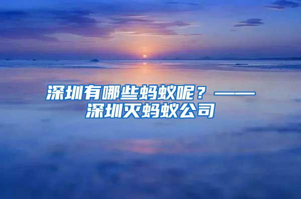 深圳有哪些螞蟻呢？——深圳滅螞蟻公司