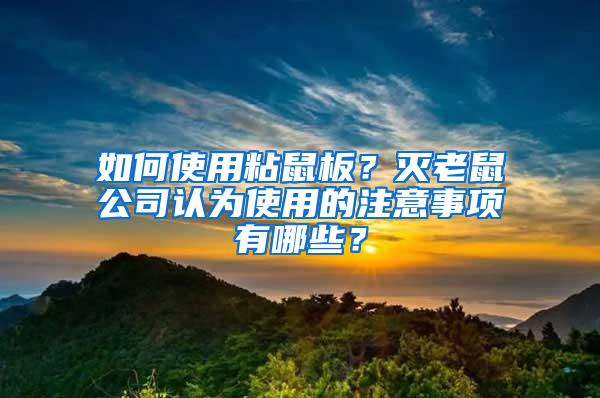 如何使用粘鼠板？滅老鼠公司認為使用的注意事項有哪些？