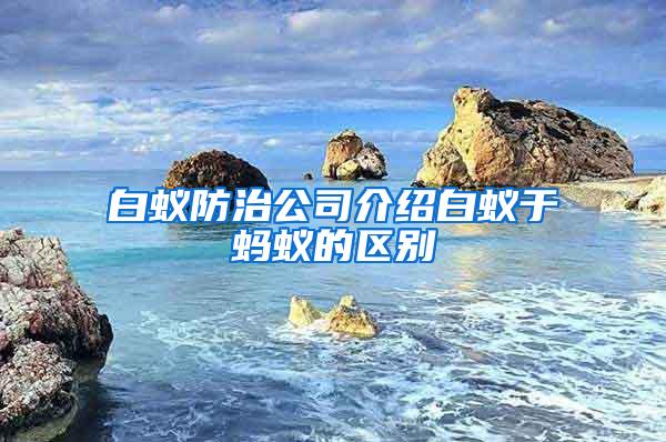 白蟻防治公司介紹白蟻于螞蟻的區別