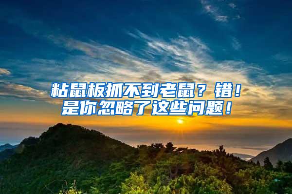 粘鼠板抓不到老鼠？錯！是你忽略了這些問題！