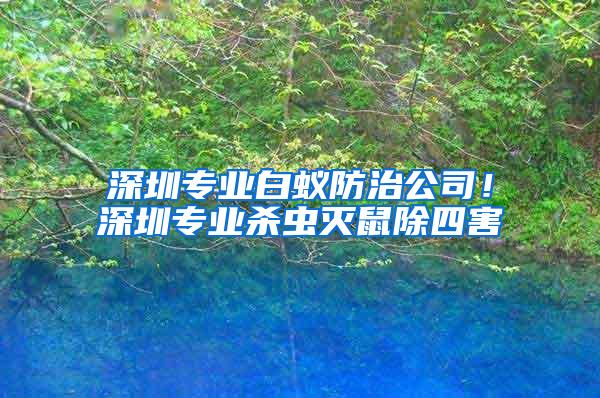 深圳專業白蟻防治公司！深圳專業殺蟲滅鼠除四害