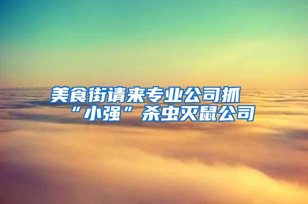 美食街請來專業(yè)公司抓“小強(qiáng)”殺蟲滅鼠公司