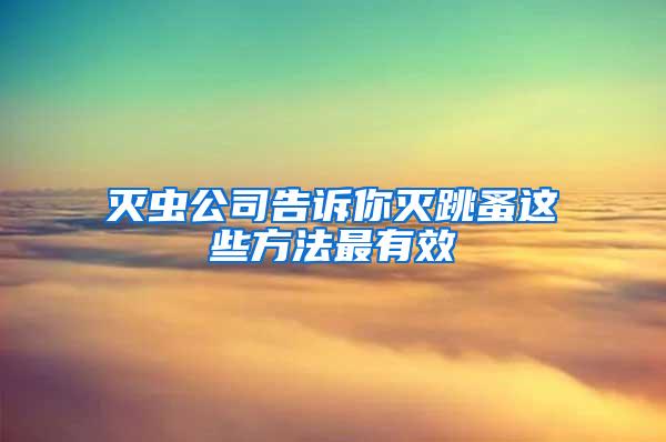 滅蟲公司告訴你滅跳蚤這些方法最有效