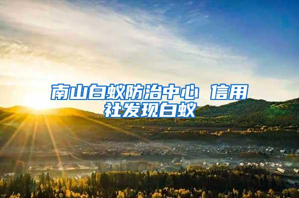 南山白蟻防治中心 信用社發現白蟻