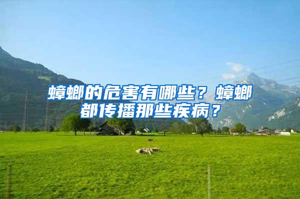 蟑螂的危害有哪些？蟑螂都傳播那些疾病？