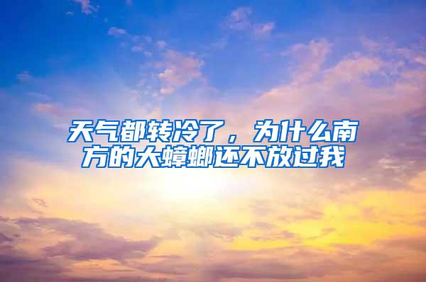 天氣都轉冷了，為什么南方的大蟑螂還不放過我