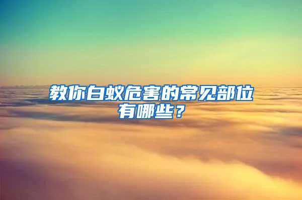 教你白蟻危害的常見部位有哪些？