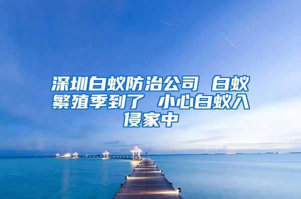 深圳白蟻防治公司 白蟻繁殖季到了 小心白蟻入侵家中