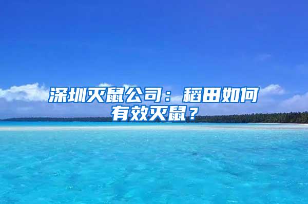 深圳滅鼠公司：稻田如何有效滅鼠？