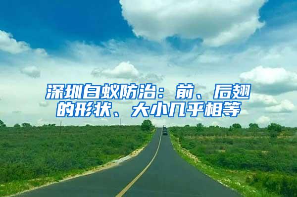 深圳白蟻防治：前、后翅的形狀、大小幾乎相等