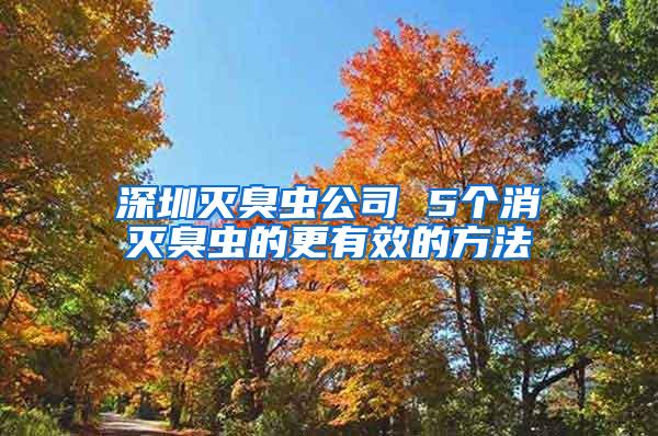 深圳滅臭蟲公司 5個消滅臭蟲的更有效的方法