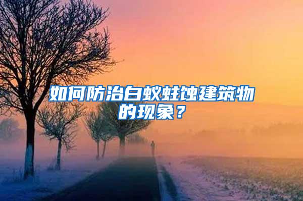 如何防治白蟻蛀蝕建筑物的現象？