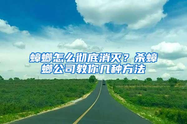 蟑螂怎么徹底消滅？殺蟑螂公司教你幾種方法