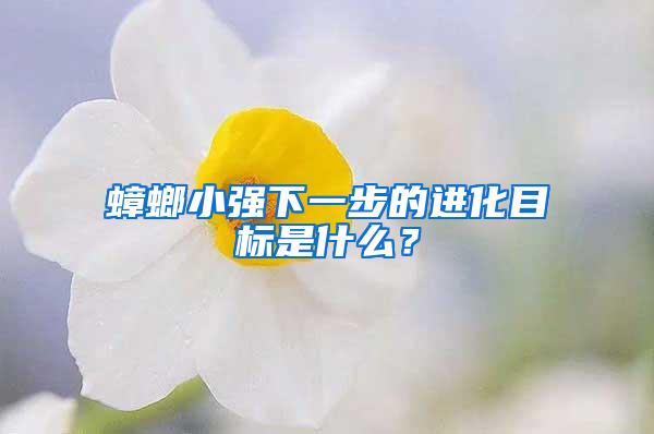 蟑螂小強下一步的進化目標是什么？