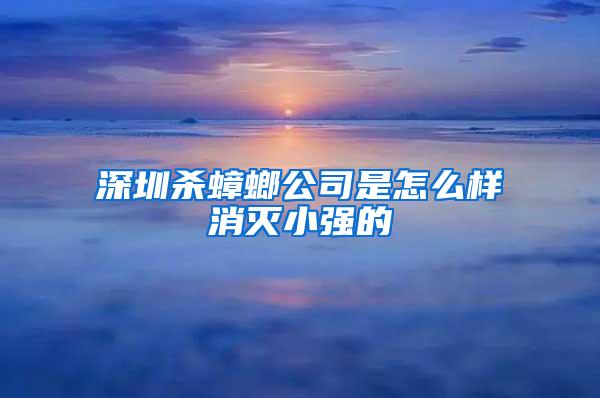 深圳殺蟑螂公司是怎么樣消滅小強的