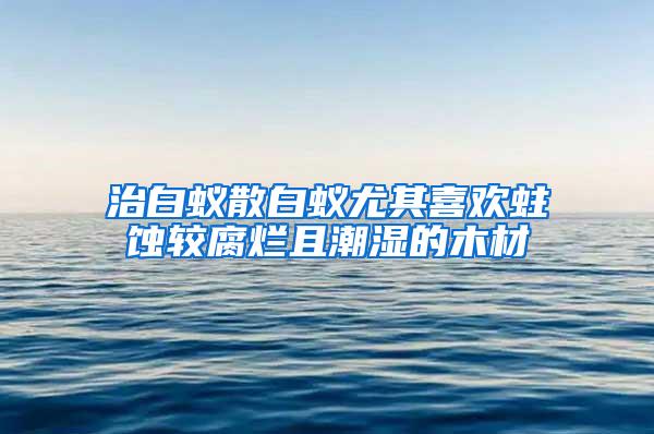 治白蟻散白蟻尤其喜歡蛀蝕較腐爛且潮濕的木材