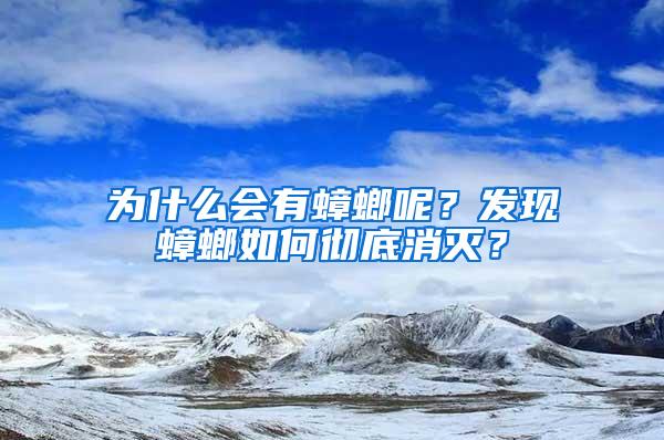 為什么會有蟑螂呢？發現蟑螂如何徹底消滅？