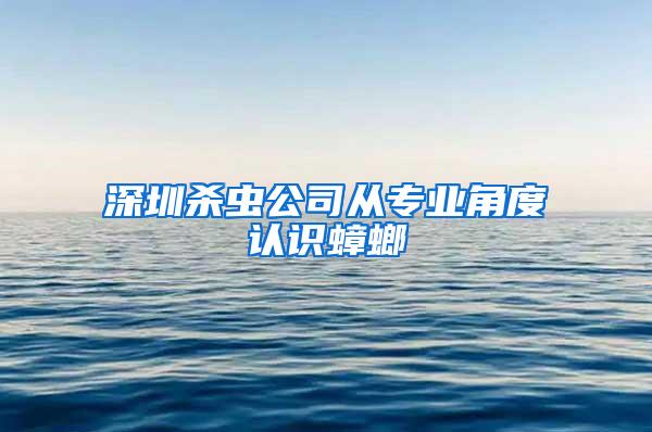 深圳殺蟲公司從專業角度認識蟑螂