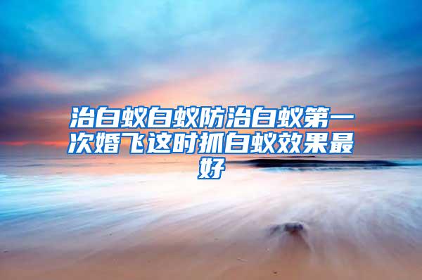 治白蟻白蟻防治白蟻第一次婚飛這時(shí)抓白蟻效果最好