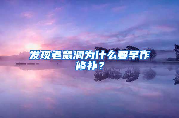 發現老鼠洞為什么要早作修補？