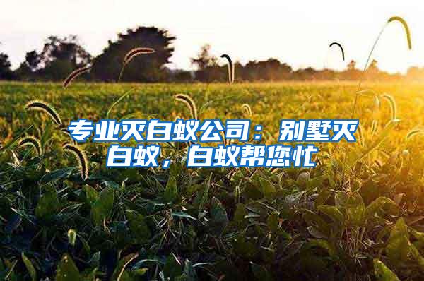 專業滅白蟻公司：別墅滅白蟻，白蟻幫您忙