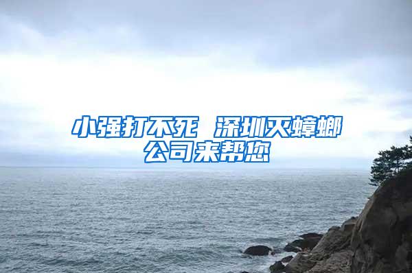 小強打不死 深圳滅蟑螂公司來幫您