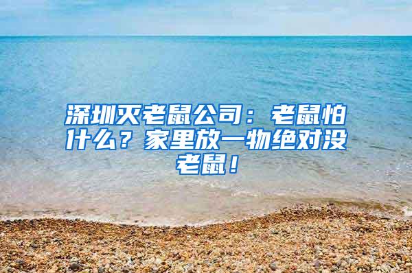 深圳滅老鼠公司：老鼠怕什么？家里放一物絕對(duì)沒(méi)老鼠！