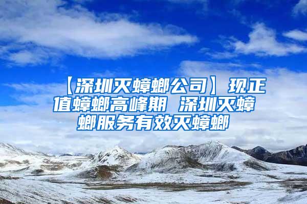 【深圳滅蟑螂公司】現正值蟑螂高峰期 深圳滅蟑螂服務有效滅蟑螂