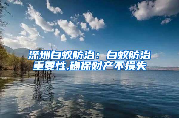 深圳白蟻防治：白蟻防治重要性,確保財產不損失