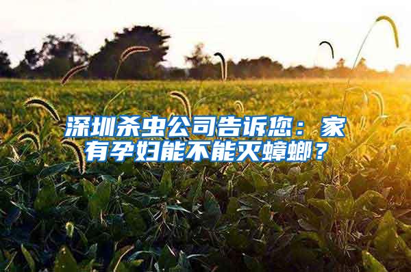 深圳殺蟲公司告訴您：家有孕婦能不能滅蟑螂？