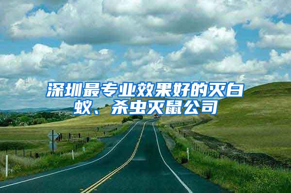 深圳最專業效果好的滅白蟻、殺蟲滅鼠公司